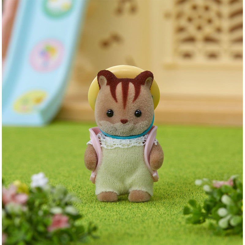 Le bébé Écureuil Roux