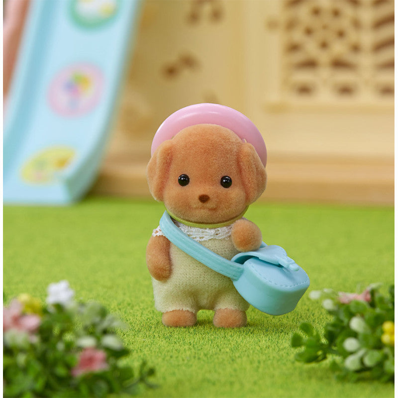 Le bébé Caniche