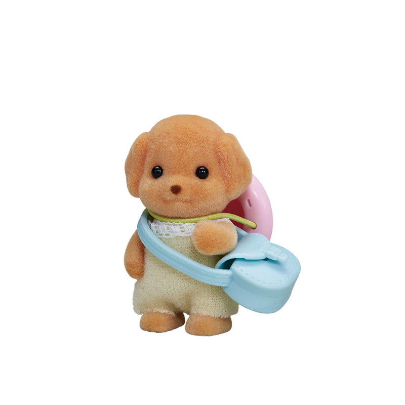 Le bébé Caniche