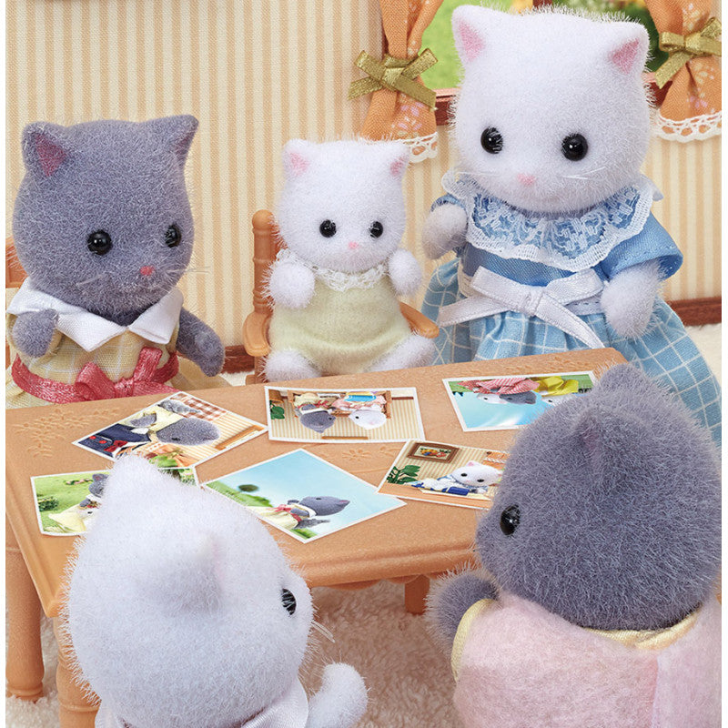 Le bébé Chat Persan