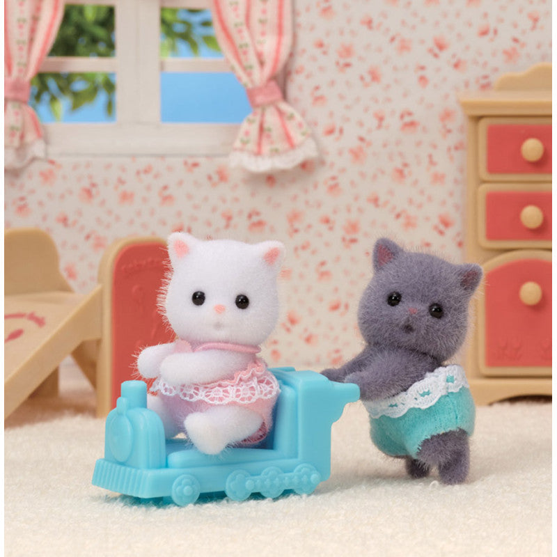 Les jumeaux Chat Persan