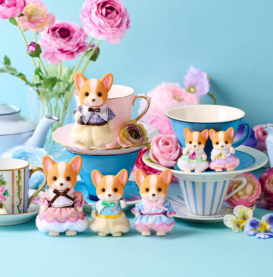La famille Corgi