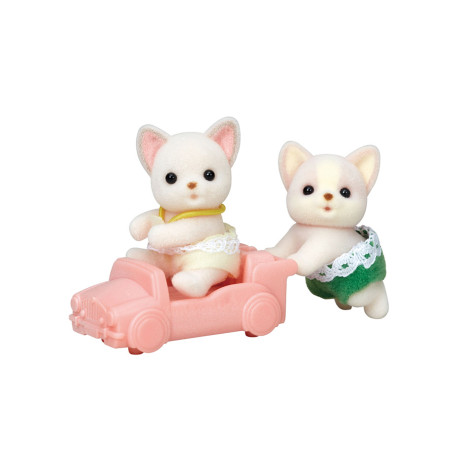 Les jumeaux Chihuahua