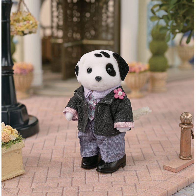 Le coffret mode du grand frère Dalmatien