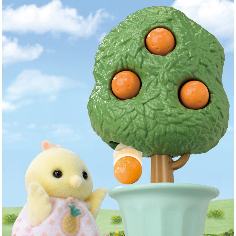 La famille Oiseau Citrus