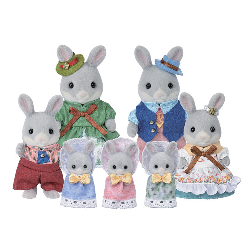 Coffret anniversaire – La famille Lapin Gris