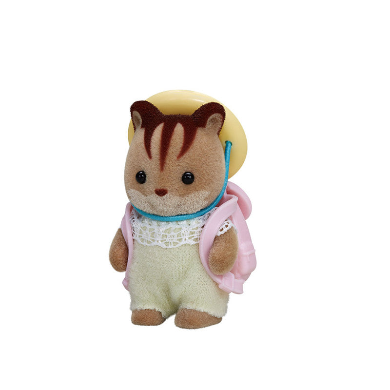 Le bébé Écureuil Roux