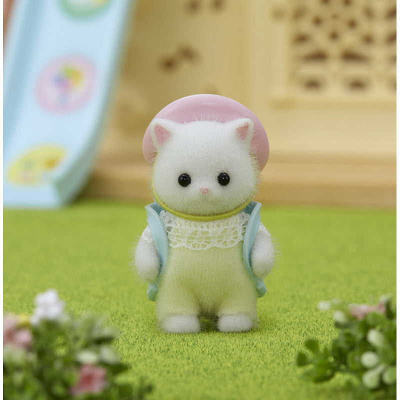 Le bébé Chat Persan