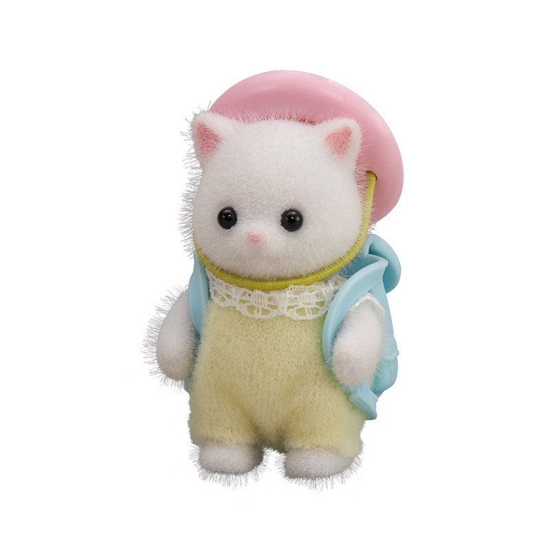 Le bébé Chat Persan