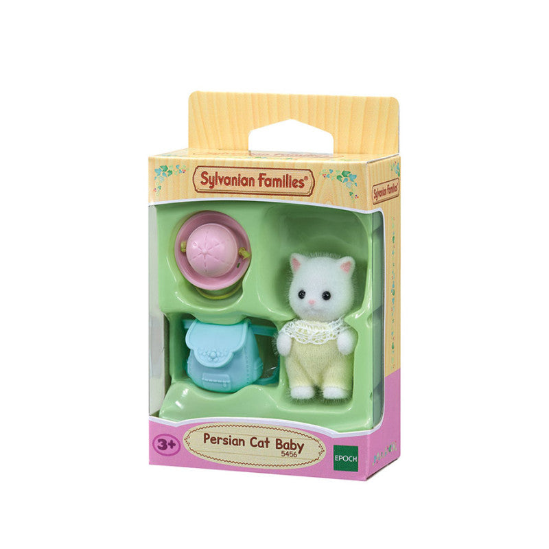 Le bébé Chat Persan