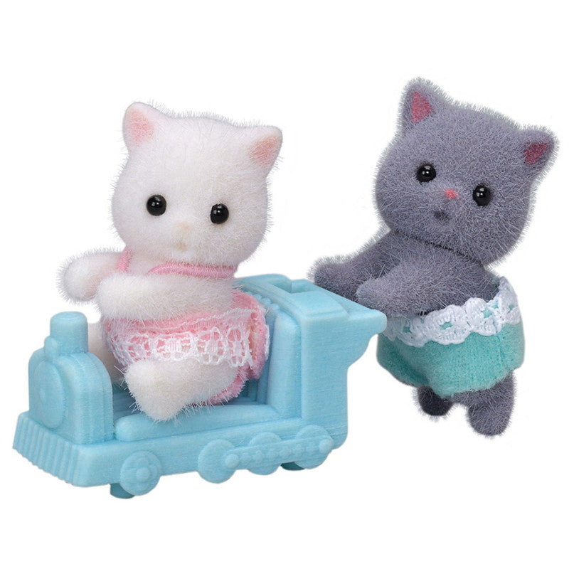 Les jumeaux Chat Persan