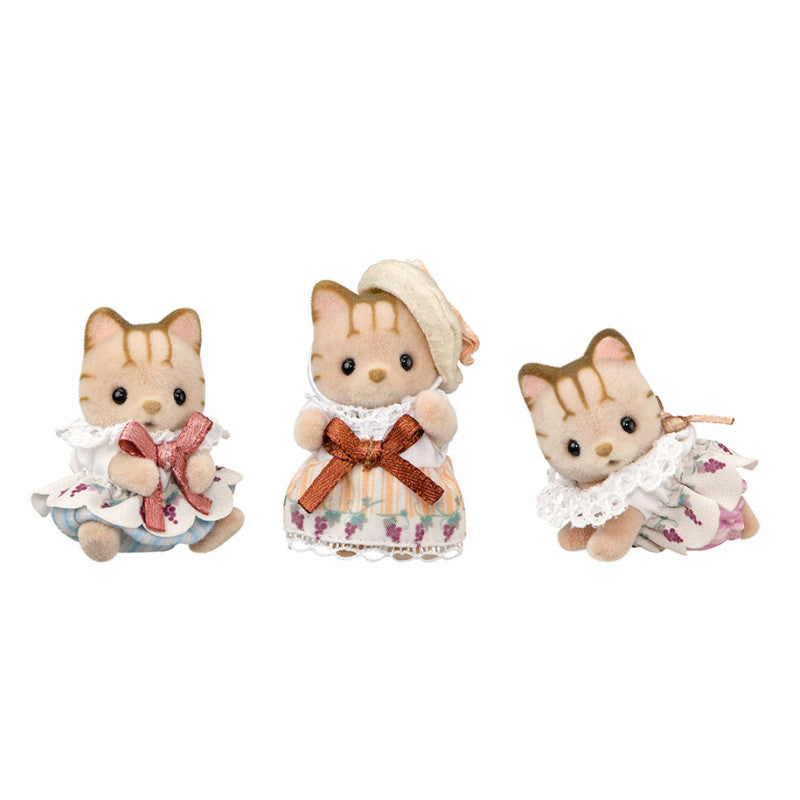 Les bébés Chat Tigré Edition Limitée